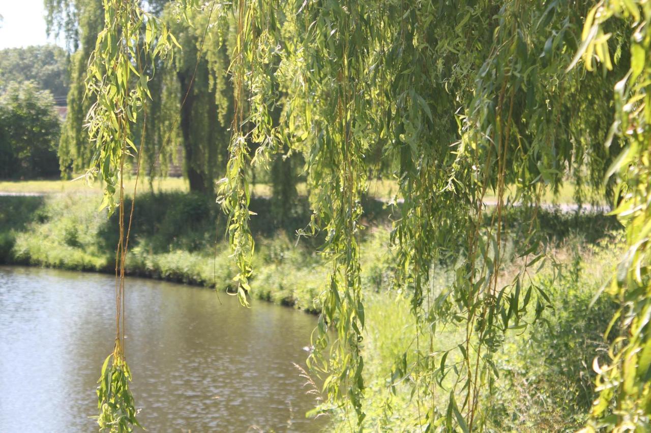 Hotel Camping Le Prejoly Hondschoote Zewnętrze zdjęcie